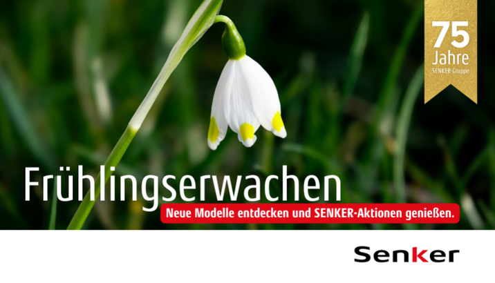 Erleben Sie die Magie neuer Modelle und unwiderstehlicher Aktionen! Frühlingshintergrund mit Märzenbecher